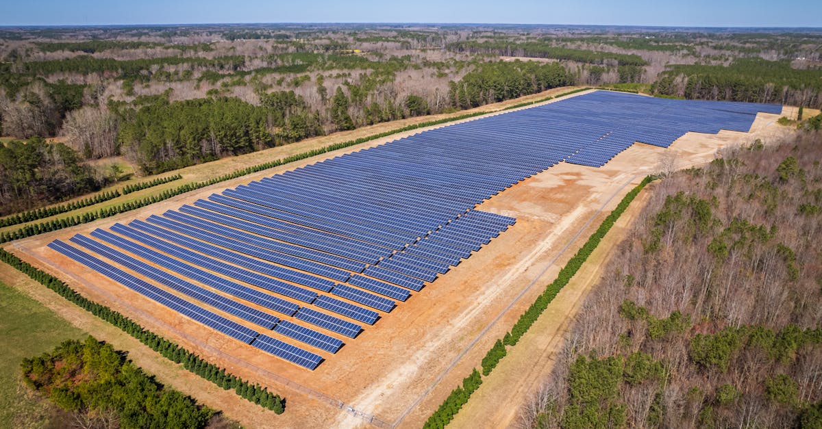 découvrez comment réduire votre empreinte carbone grâce à des gestes simples et efficaces. informez-vous sur l'impact de vos actions quotidiennes sur l'environnement et adoptez des pratiques durables pour un futur plus vert.