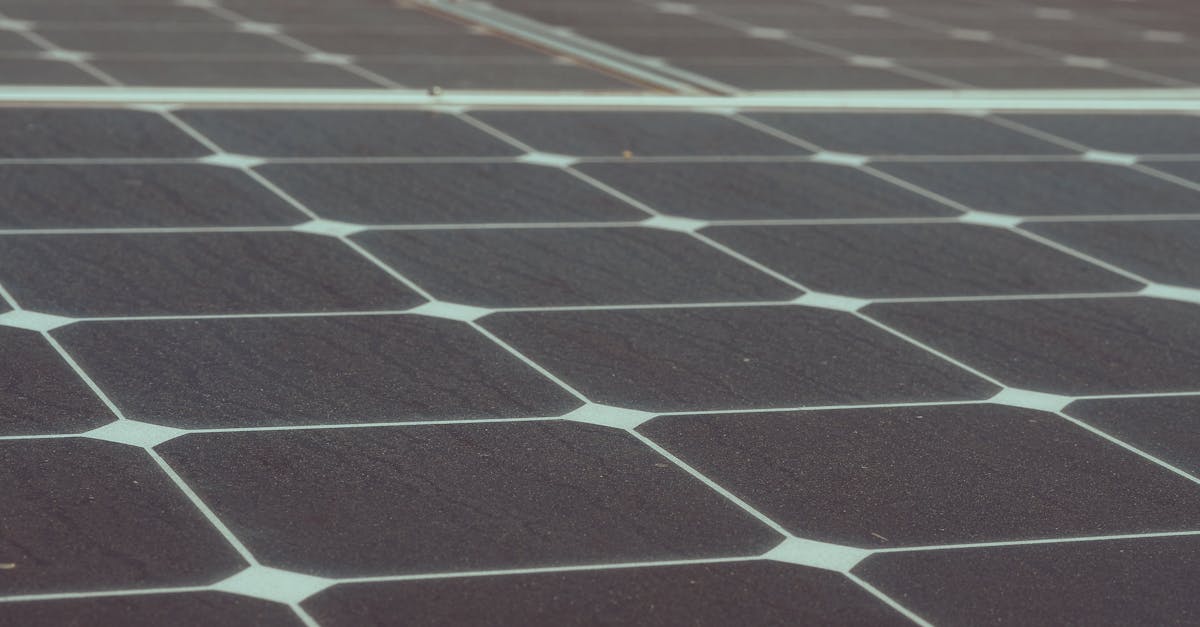 découvrez tout ce que vous devez savoir sur l'empreinte carbone : définition, impact sur l'environnement et astuces pour réduire votre footprint tout en adoptant des pratiques durables au quotidien.