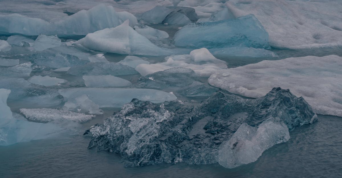 découvrez des solutions innovantes pour lutter contre le changement climatique. explorez des initiatives durables, des technologies vertes et des stratégies d'atténuation pour un avenir meilleur et respectueux de l'environnement.