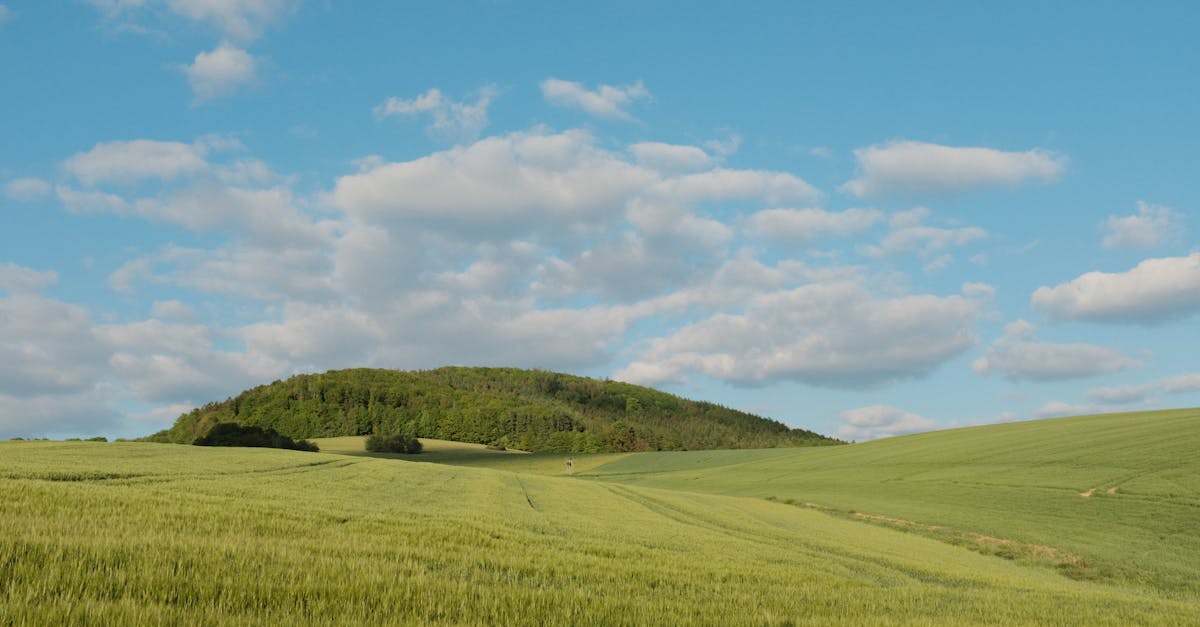 découvrez des solutions innovantes pour faire face aux défis climatiques. apprenez comment agir pour un avenir durable et préserver notre planète grâce à des initiatives écologiques et des technologies vertes.