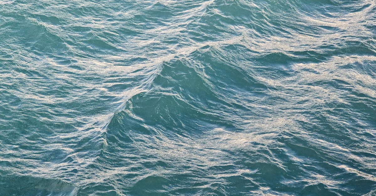 évaluation environnementale : découvrez comment analyser l'impact des projets sur l'environnement, identifier les risques potentiels et promouvoir des pratiques durables pour un avenir responsable.