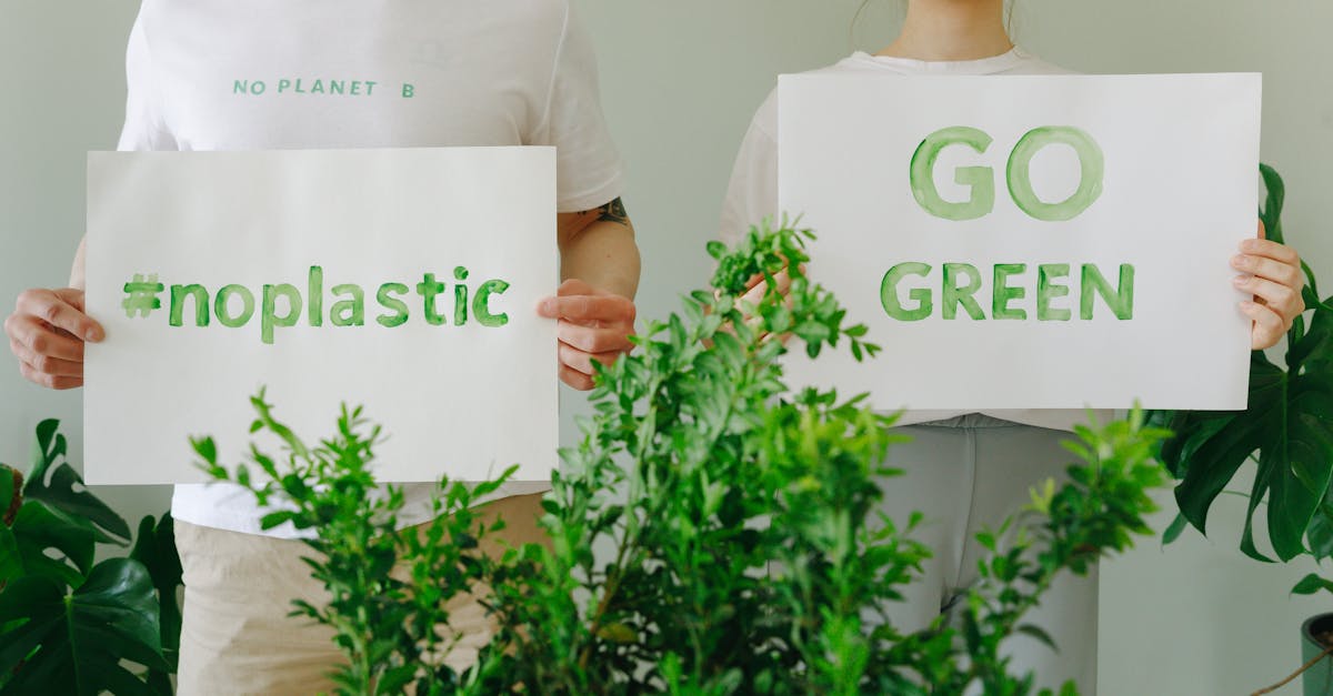 découvrez notre implication environnementale : des initiatives durables pour protéger notre planète, réduire notre empreinte carbone et promouvoir un avenir meilleur pour les générations futures.