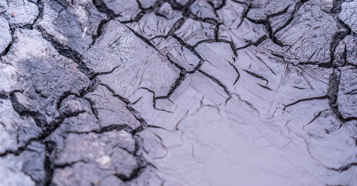 découvrez comment l'évaluation de l'impact environnemental contribue à la préservation de notre planète en analysant les effets des projets sur l'environnement. apprenez les méthodes utilisées pour réduire les impacts négatifs et promouvoir des pratiques durables.