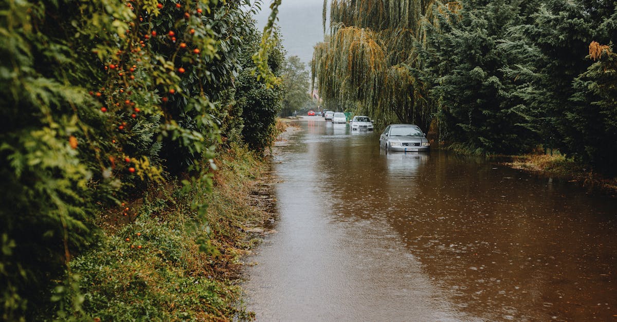 découvrez l'importance de l'évaluation des impacts environnementaux pour protéger notre planète. cette procédure analyse les effets potentiels des projets sur l'environnement, garantissant un développement durable et respectueux des écosystèmes. apprenez comment ces évaluations aident à minimiser les impacts négatifs et à promouvoir des solutions écologiques.