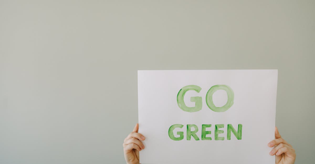 découvrez les principes de l'économie verte, un modèle durable qui vise à réduire l'impact environnemental tout en favorisant la croissance économique. explorez les innovations et les initiatives qui transforment notre société vers un avenir plus respectueux de la planète.