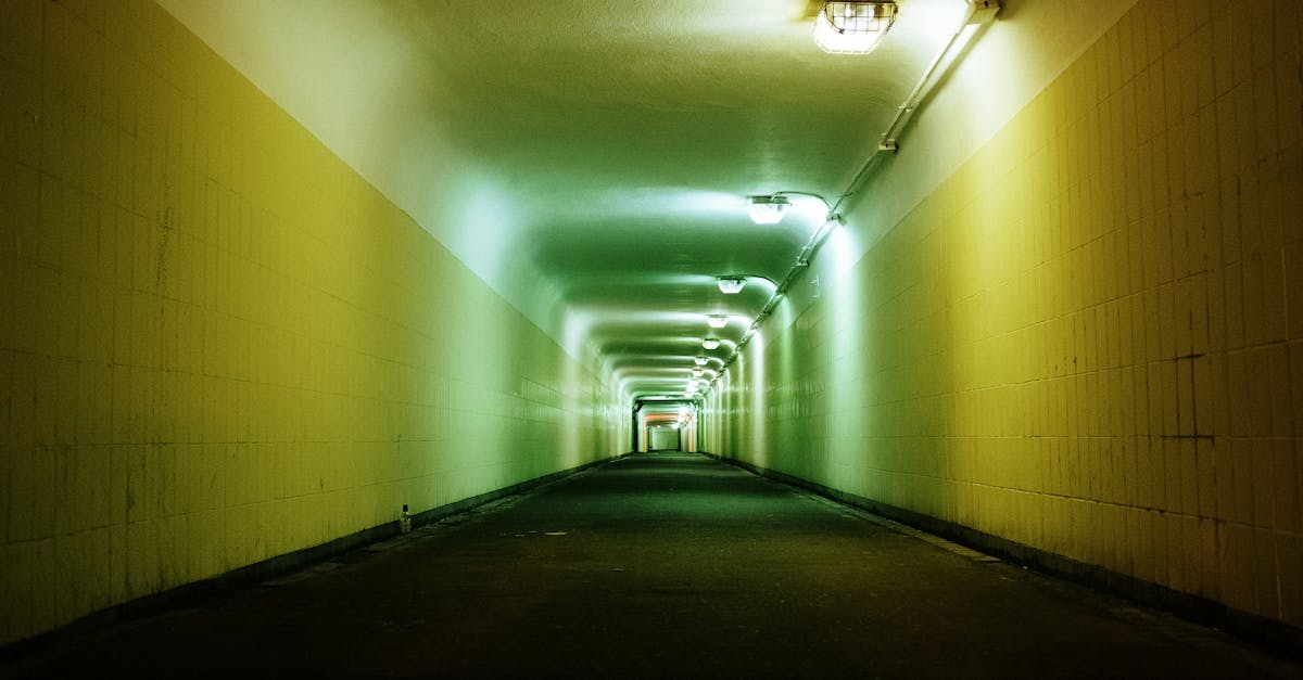 découvrez l'importance des infrastructures vertes pour un avenir durable. apprenez comment elles contribuent à la biodiversité, à la gestion des eaux pluviales et à l'amélioration de la qualité de l'air en milieu urbain.