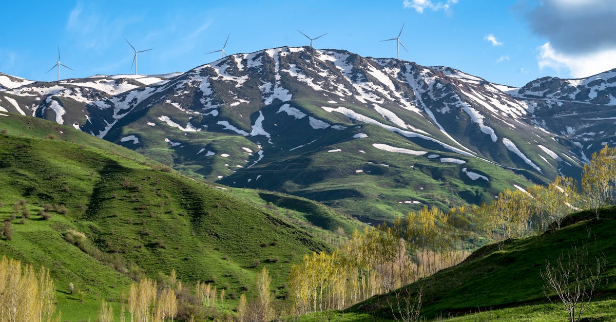 découvrez les initiatives écologiques qui transforment notre monde. explorez comment des actions durables, des projets innovants et des pratiques respectueuses de l'environnement contribuent à préserver notre planète pour les générations futures.