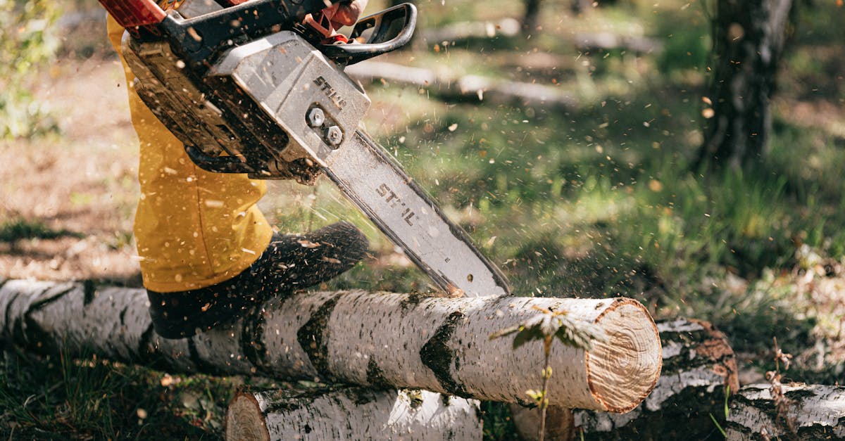 découvrez l'importance des ressources naturelles et leur impact sur notre environnement et notre économie. apprenez comment la gestion durable de ces ressources peut contribuer à un avenir meilleur pour notre planète.