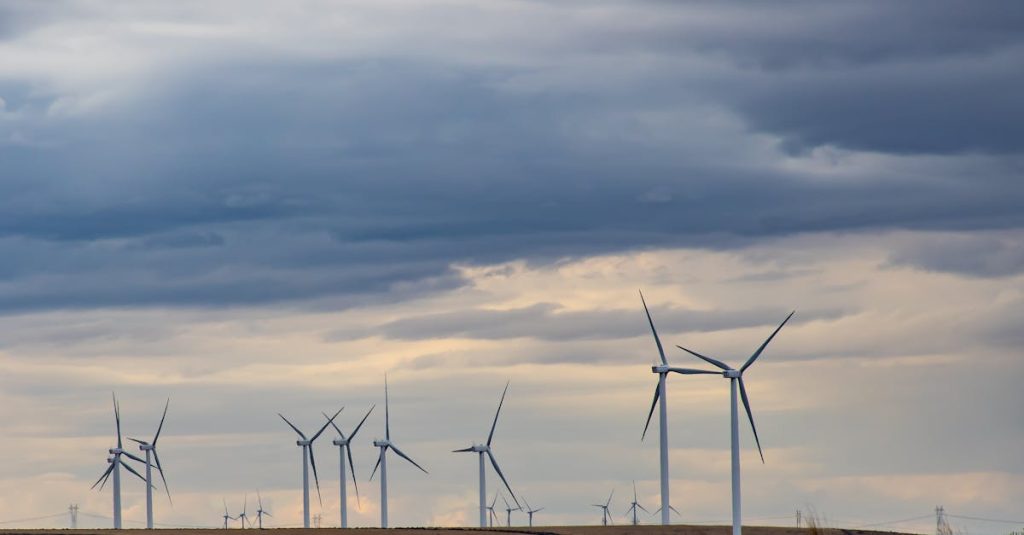 découvrez l'importance des ressources naturelles, leur rôle essentiel dans l'environnement et l'économie, ainsi que les enjeux liés à leur préservation pour un avenir durable.