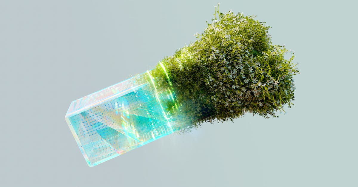 découvrez comment les réseaux d'énergie renouvelable transforment nos villes et nos modes de vie. explorez les technologies innovantes, les avantages et les opportunités d'un avenir durable avec l'énergie verte.