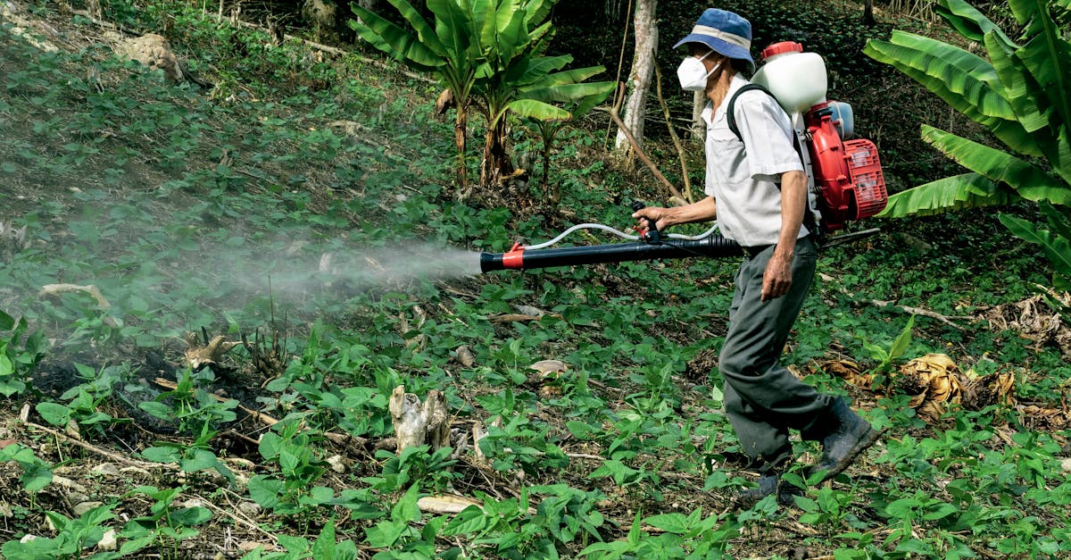 découvrez l'importance de la conservation des sols pour préserver notre environnement. apprenez des techniques durables pour protéger la fertilité des terres et promouvoir une agriculture respectueuse de la nature.