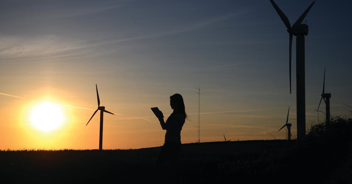 découvrez l'importance de la durabilité dans notre monde contemporain. apprenez comment adopter des pratiques durables peut garantir un avenir meilleur, en préservant les ressources naturelles et en réduisant notre empreinte carbone. engagez-vous pour une planète plus verte dès aujourd'hui!