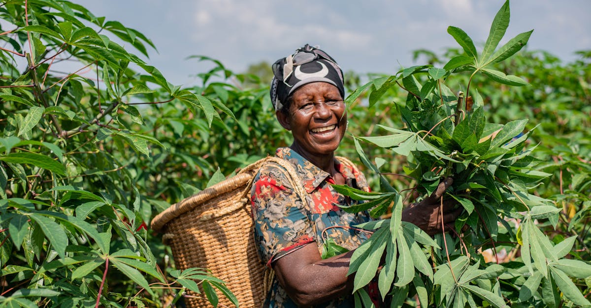 découvrez l'agriculture durable, une approche respectueuse de l'environnement qui favorise la biodiversité, l'utilisation raisonnée des ressources et le bien-être des communautés tout en garantissant une production alimentaire responsable.