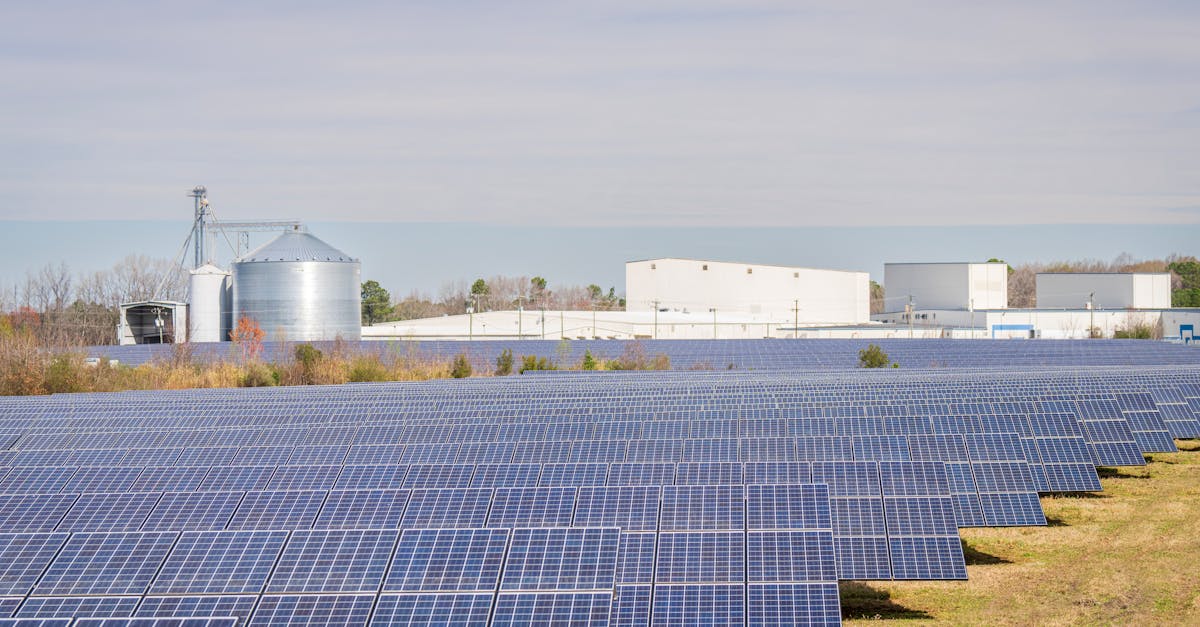 découvrez les solutions d'énergie durable qui peuvent transformer notre avenir. apprenez comment les énergies renouvelables, telles que le solaire et l'éolien, contribuent à un développement respectueux de l'environnement et à la réduction des émissions de carbone.