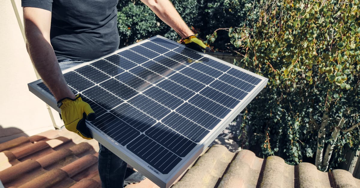 découvrez des informations sur les ressources durables, leur importance pour l'environnement et les moyens de les utiliser efficacement. apprenez comment les choix durables peuvent contribuer à un avenir meilleur et réduire notre empreinte écologique.