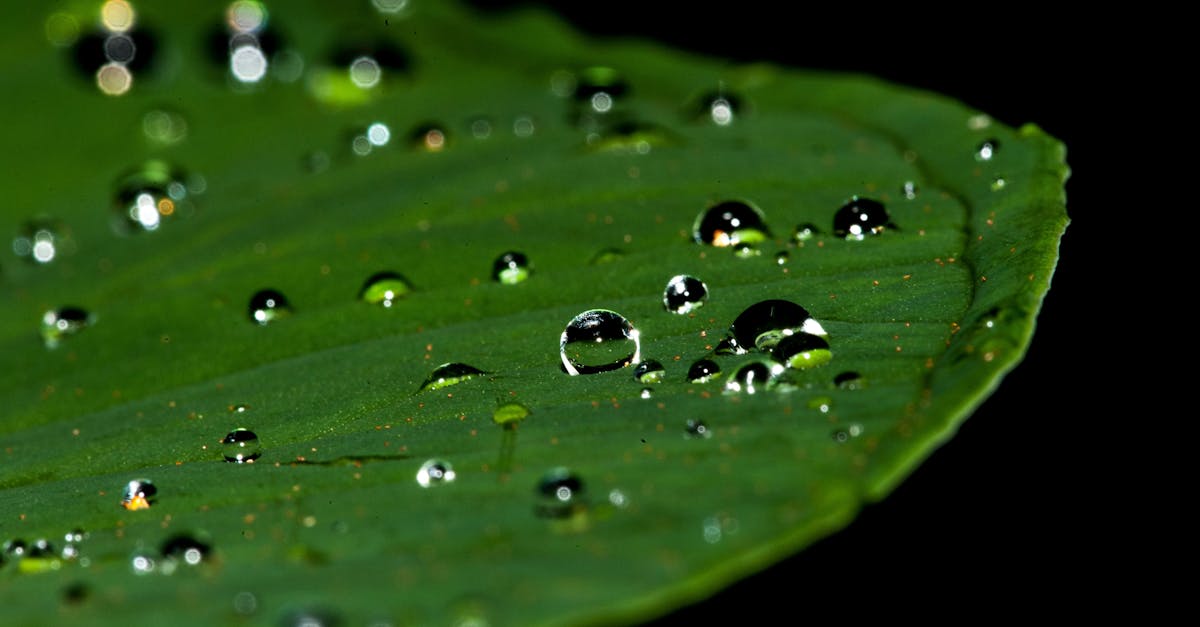 découvrez l'importance de la conservation de l'eau et des astuces pratiques pour réduire votre consommation. apprenez comment préserver cette ressource essentielle tout en protégeant notre environnement.