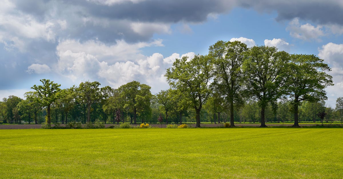 découvrez comment la capture du carbone révolutionne la lutte contre le changement climatique. explorez les technologies innovantes, les méthodes de stockage du co2 et leur impact sur l'environnement pour un avenir plus durable.