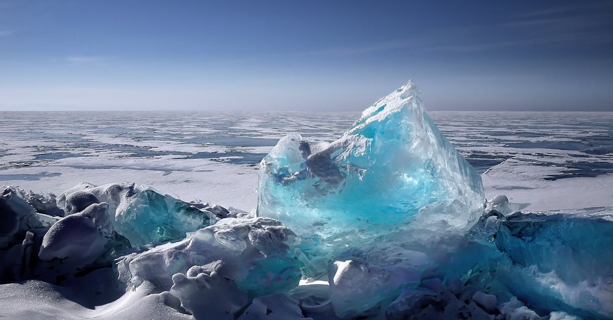 découvrez les enjeux liés au changement climatique, ses impacts sur notre planète, et les solutions pour un avenir durable. engagez-vous pour un environnement sain et préservez notre biodiversité.