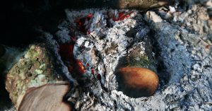 découvrez ce qu'est l'éco-propaganda : analysez comment l'environnement est utilisé à des fins de communication, les enjeux de la désinformation écologique et l'impact sur l'opinion publique. informez-vous pour démêler le vrai du faux concernant la protection de la planète.