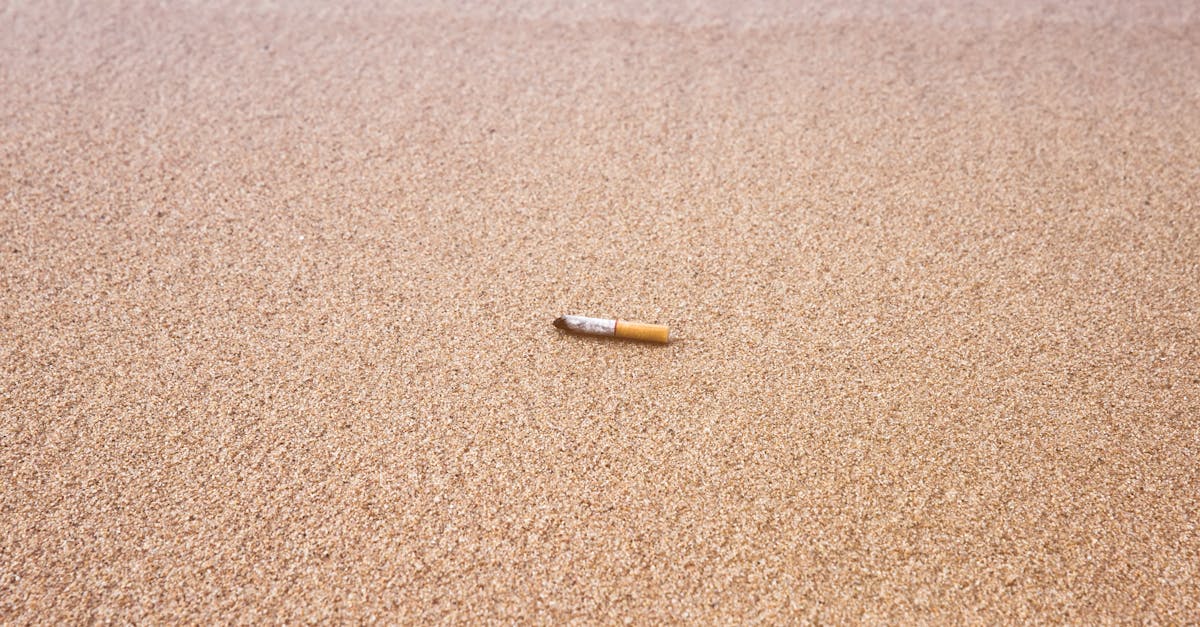 découvrez ce qu'est l'empreinte écologique, son impact sur l'environnement et comment chacun peut la réduire au quotidien pour préserver la planète.