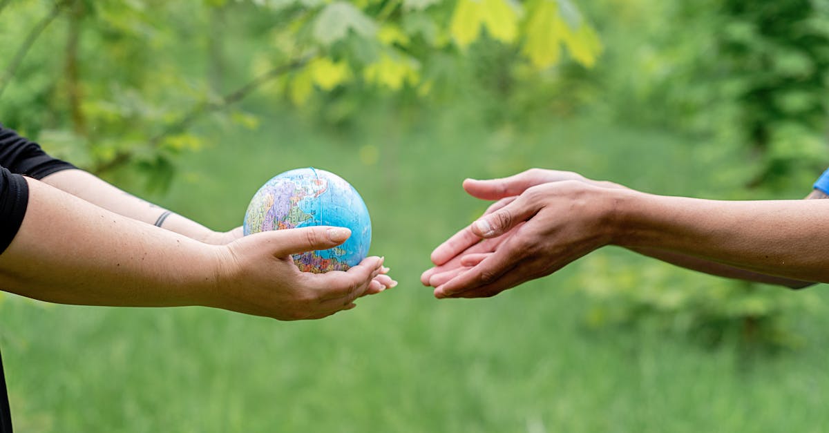 découvrez l'importance de la sensibilisation à l'écologie et comment chacun peut contribuer à la protection de notre planète. engagez-vous pour un avenir durable et apprenez des gestes simples à adopter au quotidien.