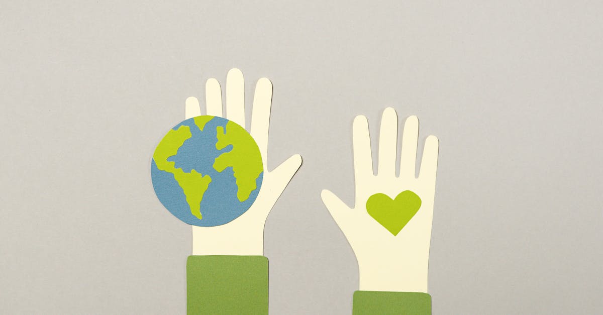 découvrez l'importance de la sensibilisation à l'écologie et comment elle peut transformer notre rapport à l'environnement. engagez-vous pour un futur durable grâce à des actions concrètes et des initiatives collectives.