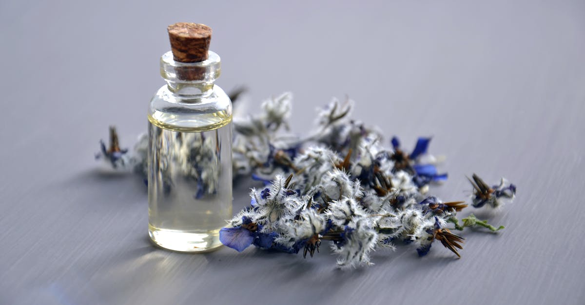 découvrez comment l'approche holistique favorise le bien-être global en prenant en compte le corps, l'esprit et l'environnement pour améliorer votre qualité de vie.