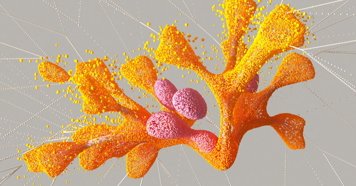 découvrez comment les innovation networks favorisent la collaboration, accélèrent le partage d’idées et stimulent la créativité au sein des entreprises et des écosystèmes innovants.