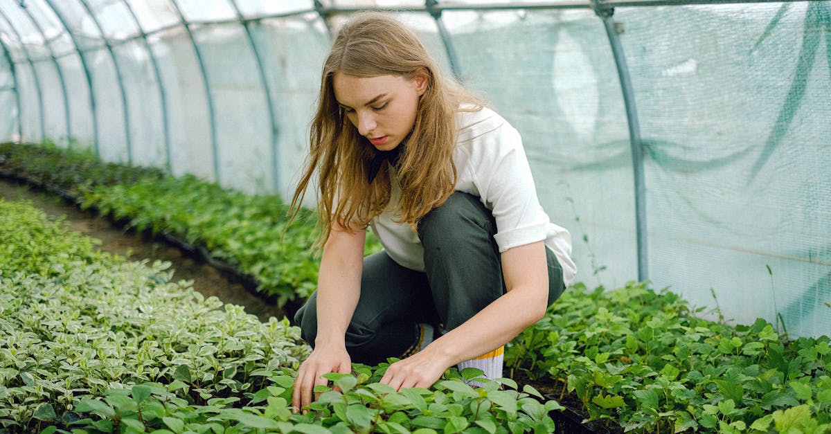 découvrez la permaculture : une méthode écologique et durable pour cultiver son jardin en harmonie avec la nature, tout en préservant les ressources et la biodiversité.
