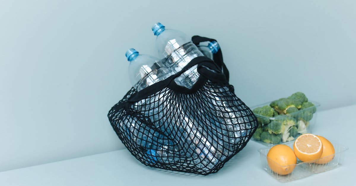 découvrez des stratégies efficaces pour la réduction du plastique dans votre quotidien. apprenez des astuces simples pour adopter un mode de vie plus durable et contribuer à la protection de notre planète.