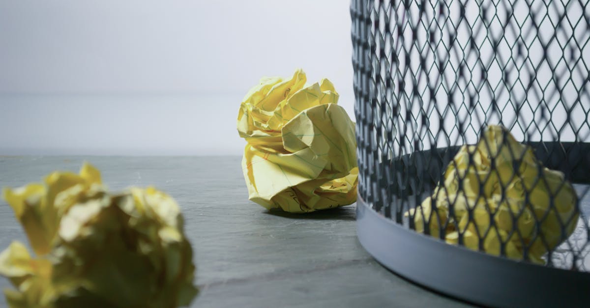 découvrez comment le recyclage contribue à préserver l'environnement, réduire les déchets et économiser les ressources naturelles. apprenez les meilleures pratiques pour recycler efficacement au quotidien.