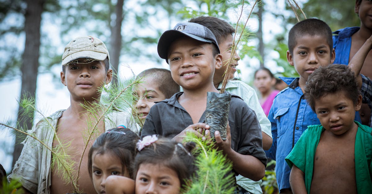 découvrez l'importance de la reforestation pour préserver la biodiversité, lutter contre le changement climatique et restaurer les écosystèmes naturels. informez-vous sur les actions, les avantages et les initiatives de reboisement.