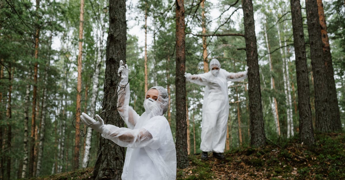 découvrez l'importance de la reforestation pour lutter contre le changement climatique, restaurer les écosystèmes et préserver la biodiversité. informez-vous sur les méthodes et les bienfaits de la plantation d'arbres.