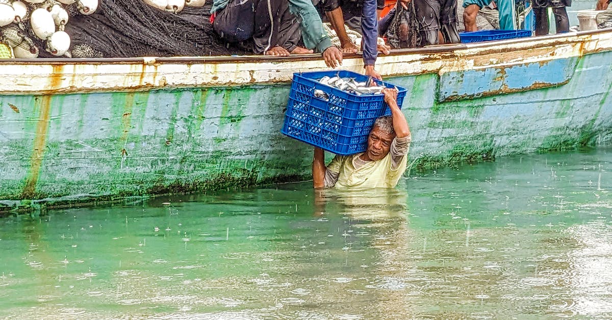 découvrez l'économie des ressources, un concept clé qui explore l'utilisation durable et efficace des ressources naturelles. apprenez comment les entreprises, les gouvernements et les individus peuvent optimiser leur impact sur l'environnement tout en favorisant la croissance économique.