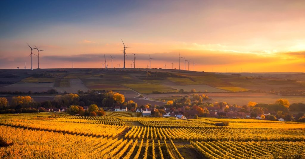 découvrez comment la durabilité façonne notre avenir avec des pratiques respectueuses de l'environnement, des conseils pour adopter un mode de vie durable et les dernières actualités sur la préservation de la planète.