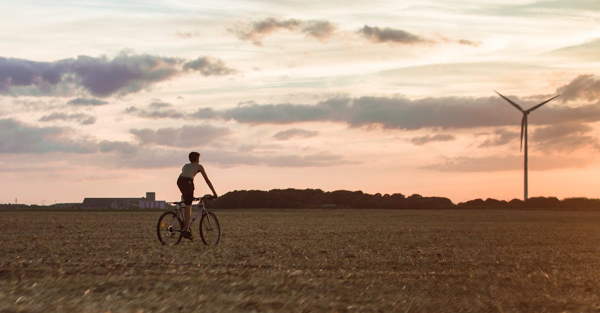 découvrez comment adopter des pratiques durables pour protéger l'environnement, favoriser une économie responsable et assurer un avenir meilleur. conseils, actualités et solutions pour une vie plus éco-responsable.