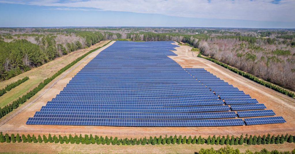 découvrez l'investissement durable, une approche responsable qui allie profit et respect de l'environnement. adoptez une stratégie d'investissement qui soutient des entreprises éthiques tout en assurant une croissance financière à long terme. explorez des options pour investir dans un avenir plus vert.