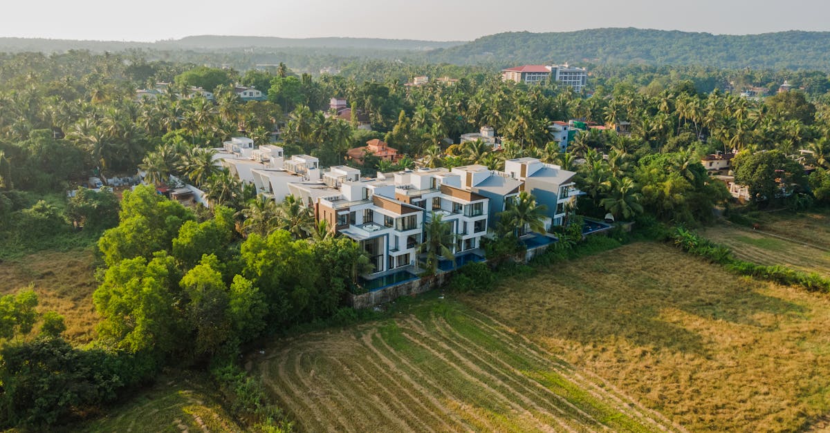 découvrez comment les investissements durables peuvent allier rentabilité et responsabilité sociale. apprenez à soutenir des entreprises éthiques tout en contribuant à la préservation de l'environnement et au développement durable.