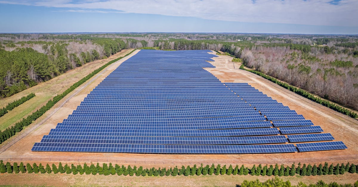 découvrez l'investissement durable, une approche responsable qui allie profit et respect de l'environnement. adoptez une stratégie d'investissement qui soutient des entreprises éthiques tout en assurant une croissance financière à long terme. explorez des options pour investir dans un avenir plus vert.