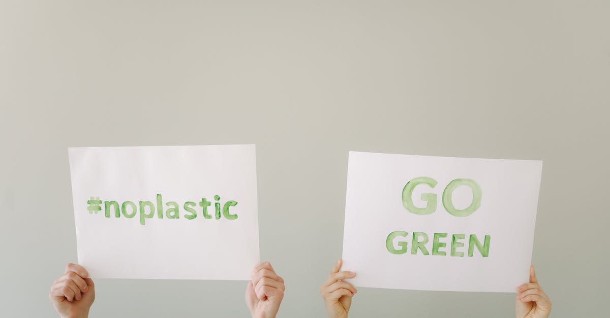 découvrez comment adopter des pratiques durables pour préserver l’environnement, réduire votre impact écologique et contribuer à un avenir plus responsable.