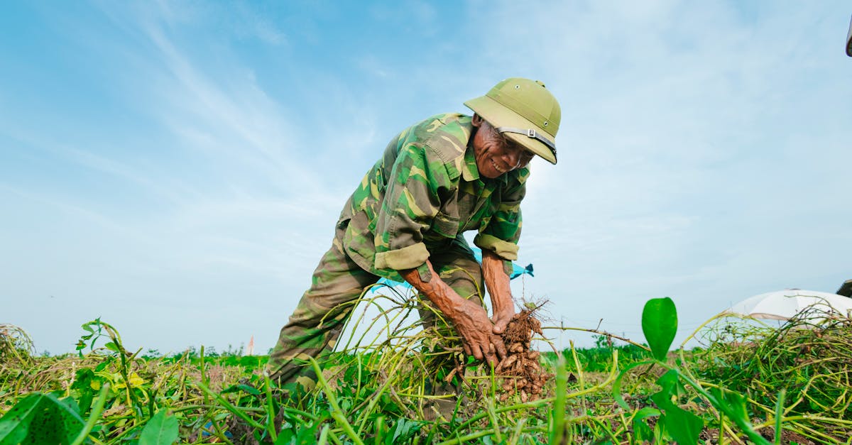 découvrez comment les territoires durables transforment nos espaces de vie et notre relation à l'environnement. explorez les initiatives écologiques, les pratiques innovantes et les solutions locales qui façonnent un avenir respectueux de la planète.