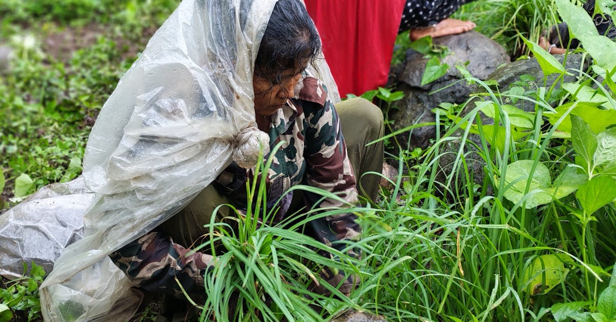 découvrez les territoires durables, où l’environnement, l’économie et la société se rencontrent pour créer un avenir équilibré et respectueux. explorez des initiatives innovantes qui favorisent la durabilité et la résilience des communautés.