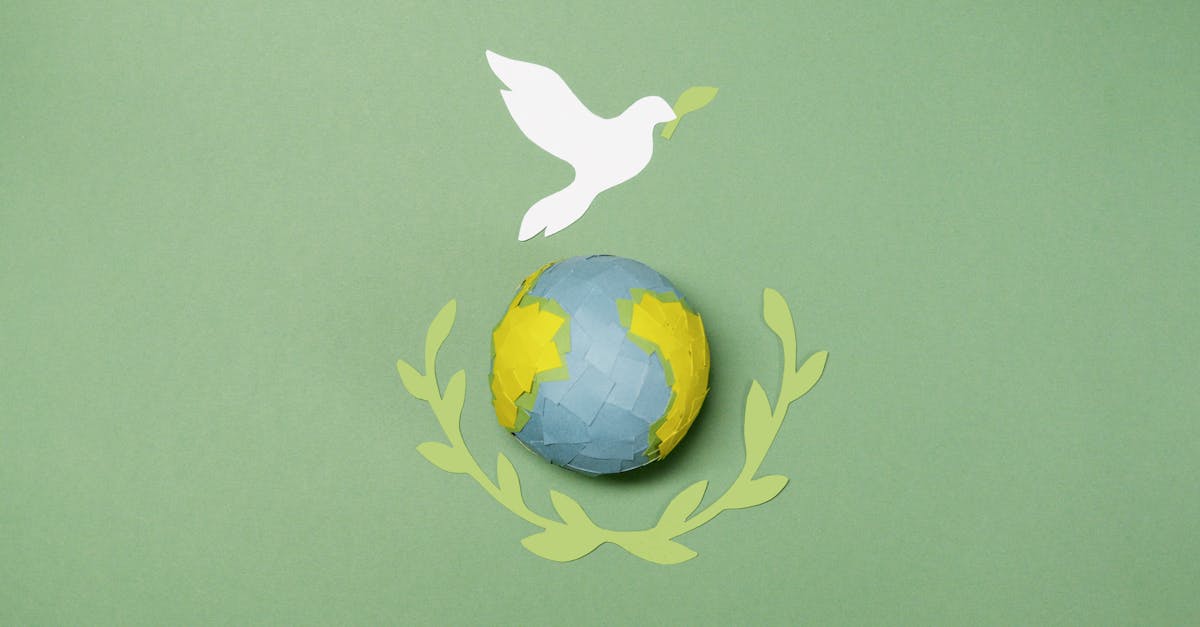 découvrez comment adopter une vision durable pour un avenir meilleur. explorez des stratégies éco-responsables et des innovations qui favorisent la durabilité dans tous les aspects de votre vie. engagez-vous pour la planète avec des actions concrètes et des solutions durables.