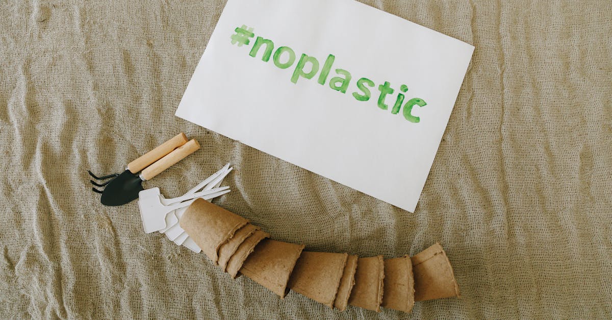 découvrez le compostage : une méthode écologique pour transformer vos déchets organiques en un engrais naturel, améliorer la fertilité de votre sol et réduire votre impact environnemental.