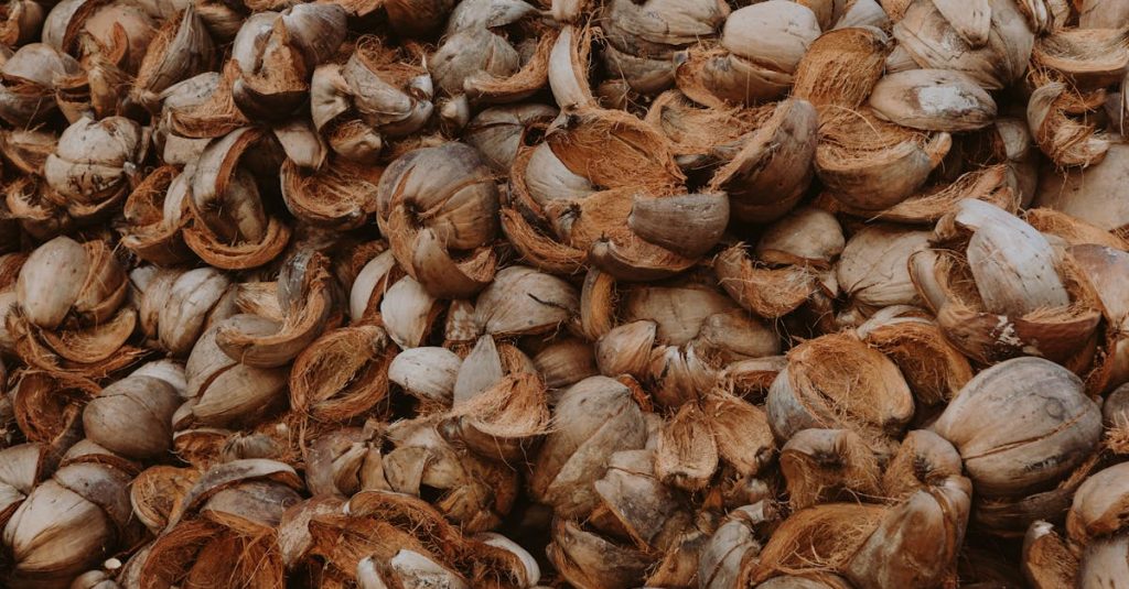 découvrez les bases du compostage, une méthode écologique pour transformer vos déchets organiques en un engrais naturel riche, idéal pour votre jardin ou vos plantes d'intérieur. conseils, astuces et étapes simples pour débuter facilement le compostage chez soi.