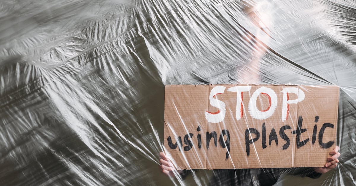 découvrez le mouvement écologique, ses principes et ses actions pour préserver l'environnement, lutter contre le changement climatique et promouvoir des modes de vie durables.