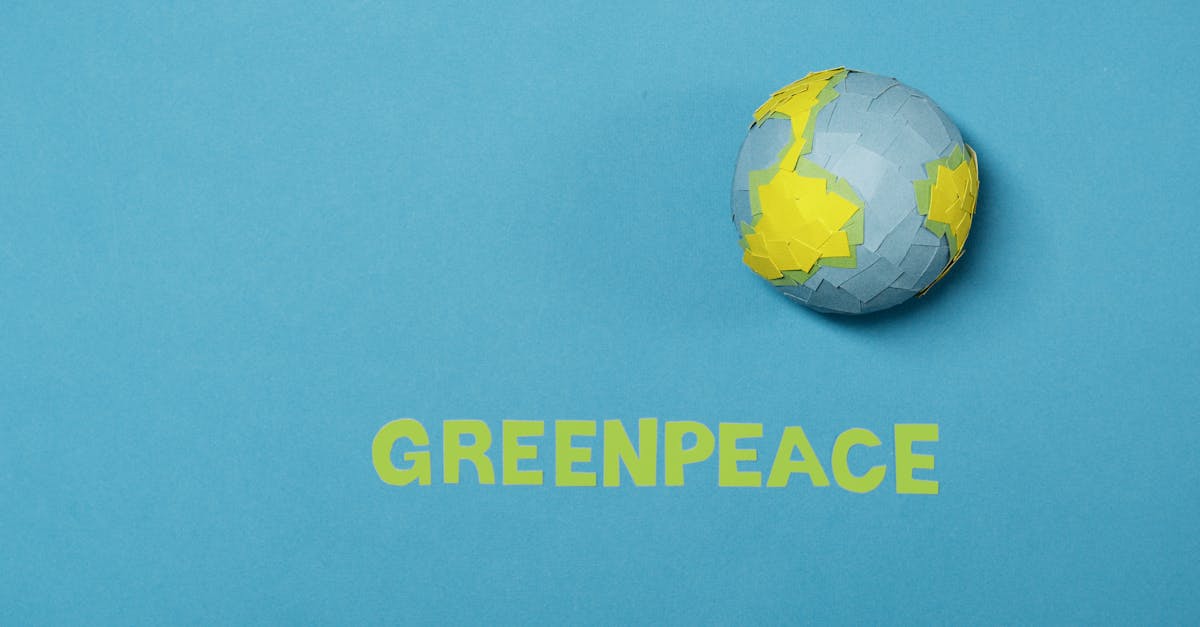 découvrez ce qu’est la justice environnementale : ses principes, son importance dans la lutte contre les inégalités écologiques, et comment elle vise à garantir à tous un environnement sain et équitable.