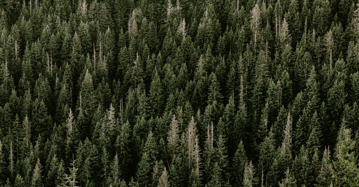 découvrez le green sourcing : une approche responsable pour sélectionner des fournisseurs et des matériaux respectueux de l’environnement, favorisant le développement durable et réduisant l’empreinte écologique de votre entreprise.