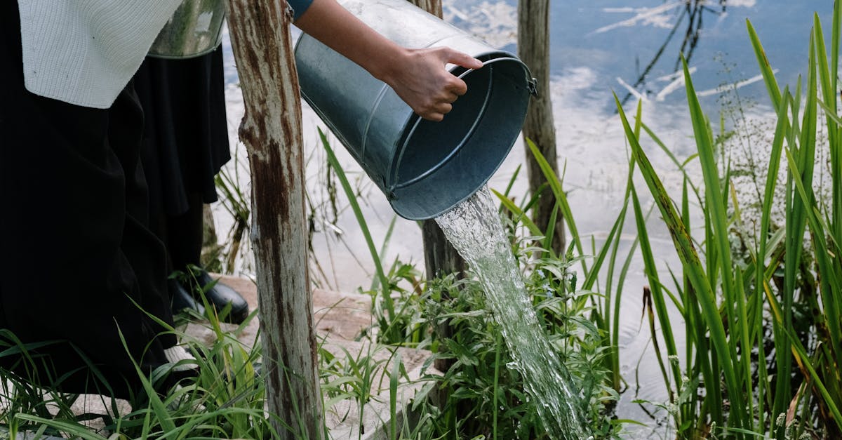 découvrez le green sourcing : une approche durable pour sélectionner fournisseurs et matières premières respectueux de l’environnement. adoptez des pratiques d’achats responsables pour réduire l’empreinte écologique de votre entreprise.