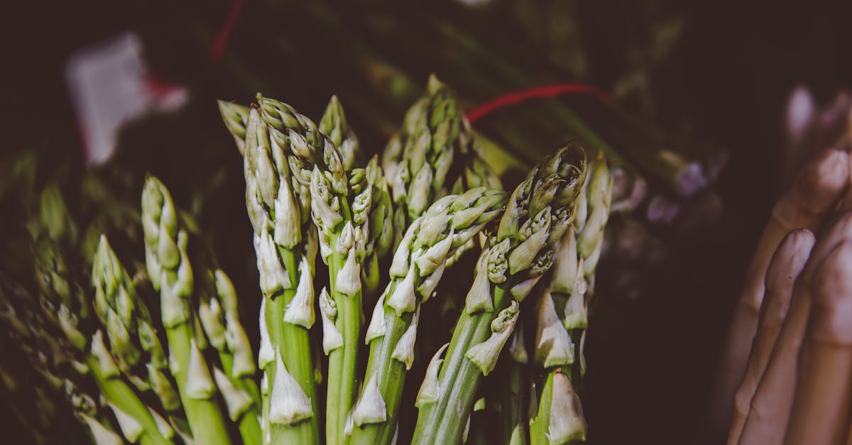 découvrez le green sourcing : une approche durable et responsable pour sélectionner vos fournisseurs et matières, réduire l’impact environnemental de votre entreprise et renforcer votre engagement écoresponsable.